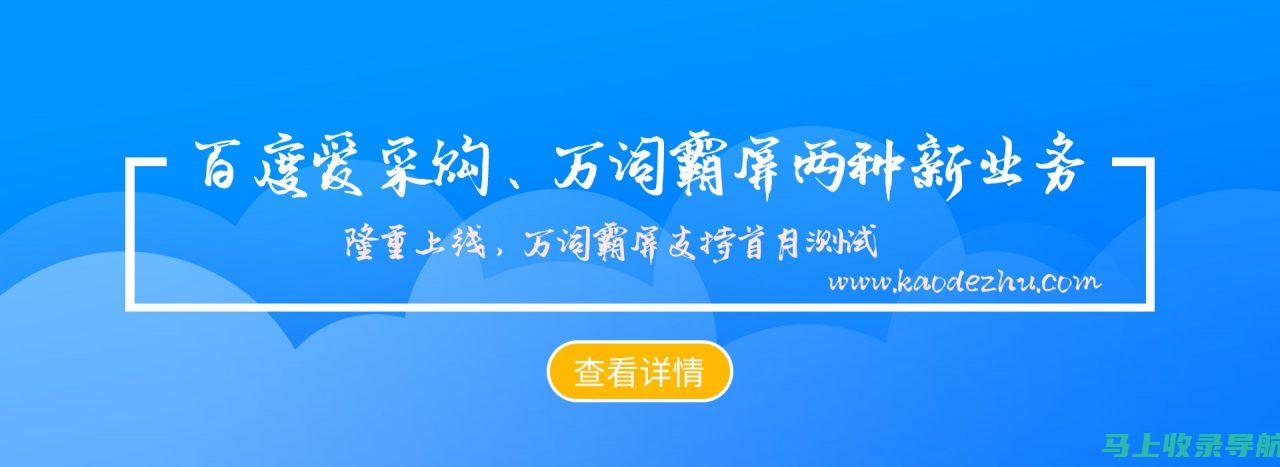 网站优化与推广：SEO的力量在哪里？